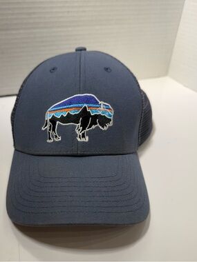 Patagonia Fitz Roy Bison trucker blue Mesh Snapback Cap